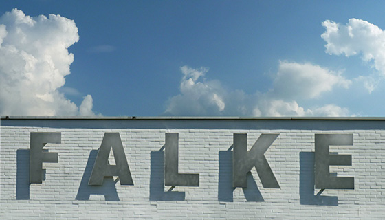 Falke 1